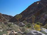 A Anza Borrego Desert 009